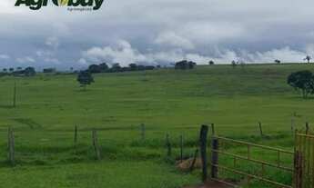 Imagem 4: Fazenda Localizada no Município de Iporá go