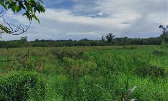 Imagem 3: Sítio 20 alqueires Plano ( Willian Ricardo