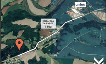 Imagem 3: Área no Pinheirinhos com 31,36 hectare