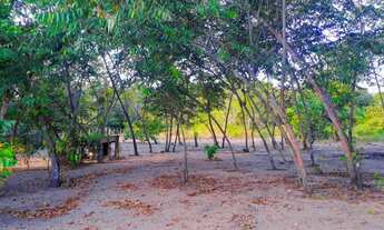 Imagem 4: Vende-se ou troca chácara