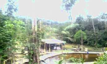 Imagem 3: VENDO SÍTIO / CHÁCARA