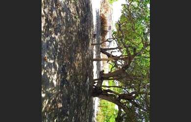 Imagem 3: Terreno Boa Localização