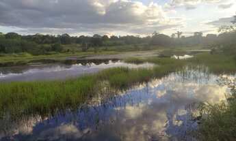 Imagem 4: Oportunidade de venda. Sítio Palmeropolis TO