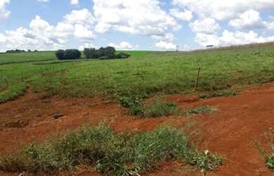 Imagem 2: 3,13 Alqueires Paulista