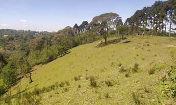 Imagem 7: Área para Chácara em Campo Magro