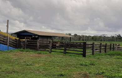 Imagem 3: Fazenda para Venda em Nova Marilândia, zona Rural, 2 dormitórios, 1 suíte, 2 banheiros