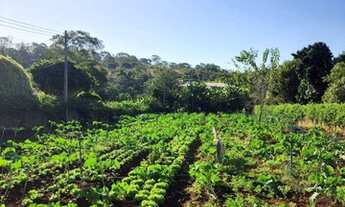 Imagem 6: CHÁCARA SÃO DOMINGOS GOIÂNIA/GO
