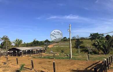 Imagem 5: Machadinho D'Oeste - Sítio - 22 alqueires