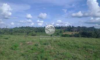 Imagem 7: Machadinho D'Oeste - Sítio - 12.5 Alqueires