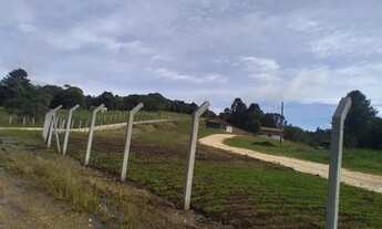 Imagem 4: CHACARA ROSEIRA 10 MIL METROS COM NASCENTE