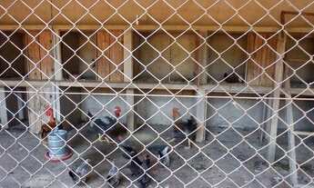 Imagem 7: Terreno à venda, 7417 m² por R$ 498.000,00 - Esmeraldas - Esmeraldas/MG