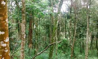 Imagem 6: Nova Lima - Loteamento/Condomínio - Pasárgada