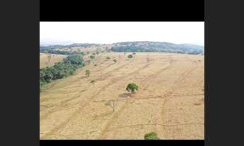 Imagem 4: Fazenda 67 Alqueires Plana 30 a 40 Alqueires de Soja. Regiao jaragua