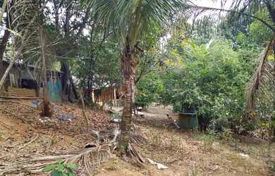 Imagem 3: Fazenda/Sítio/Chácara para venda possui 5000 metros quadrados com 2 quartos