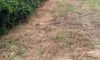 Imagem 3: Chácara localizado na região de Farofa a 1km do centro em São Joaquim de Bicas