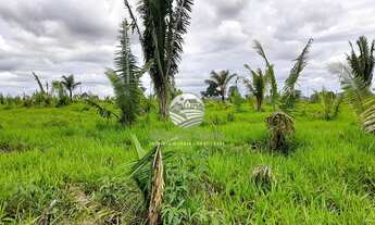 Imagem: Ariquemes - Sítio - 20 alqueires