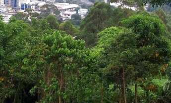 Imagem 4: Terreno na Fazendinha - Teresópolis