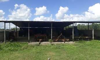 Imagem 5: Excelente Fazenda com 150 hectares em vera cruz estruturada