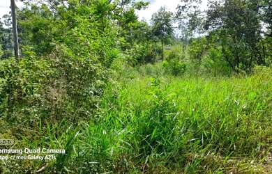 Imagem 3: Chácara à venda em Taquara RS