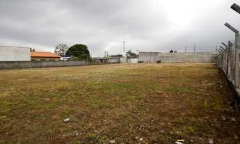 Imagem 3: Terreno - Mogi das Cruzes