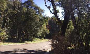 Imagem 5: Terreno no bairro Lagos do Bosque em Gramado