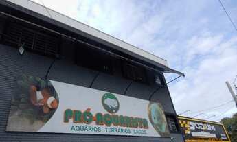 Imagem 4: APARTAMENTO RESIDENCIAL em CAMPINAS - SP, VILA TEIXEIRA