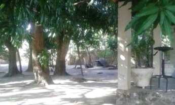 Imagem 4: CHACARA RESIDENCIAL em SÃO LUÍS - MA, ESTIVA