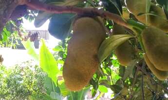 Imagem 6: Sobrado para venda em Granjas Betânia - Juiz de Fora - MG