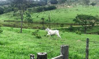 Imagem 3: Fazenda à venda, 11906400 m² por R$ 16.000.000,00 - Zona Rural - Cocalzinho de Goiás/GO