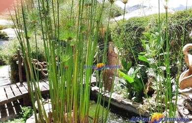 Imagem 2: Casa com 4 dormitórios à venda, 174 m² por R$ 820.000 - Vargem Grande - Teresópolis/RJ