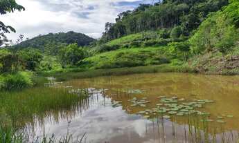 Imagem 5: Sítio 9 Alqueires, Pasto, Nascentes (Willian Ricardo