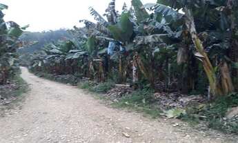 Imagem 3: Eldorado - Fazenda - Vergueiro