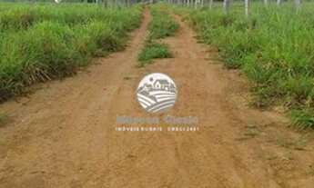 Imagem 4: Alto Paraíso - Sítio - 42 alqueires