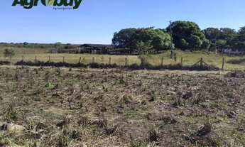 Imagem 5: Fazenda Com 600 Alqueires Localizada em Peixe to