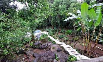 Imagem 6: Sítio de 6 qts, 4.630m² e terreno, piscina natural e clorada