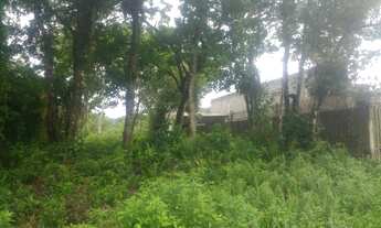 Imagem 2: Terreno litoral sul itanhaem