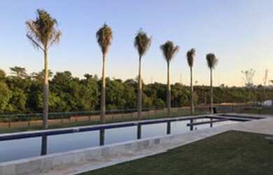 Imagem 6: Terreno Lote á venda Alphaville 2 Uberlândia Condomínio Clube Fechado