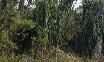 Imagem 5: TERRENO undefined em CAMAÇARI - BA, COQUEIROS DE AREMBEPE (ABRANTES