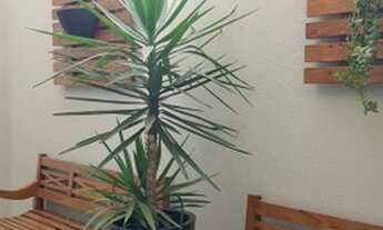 Imagem 6: CASA RESIDENCIAL em SUMARÉ - SP, RESIDENCIAL PORTAL DO LAGO