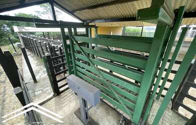 Imagem 6: Fazenda com 230 hectares em Pernambuco