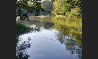 Imagem 3: Terreno à venda, 902 m² por R$ 425.000,00 - Paradise - Cabreúva/SP