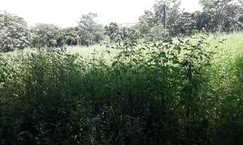 Imagem 10: Sítio de 31 hectares - 5KM de Água Fria