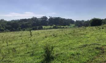 Imagem 5: Fazenda/Sítio/Chácara para venda com 6 alqueires