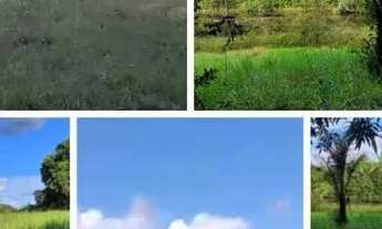 Imagem: Terra boa e barata