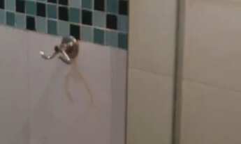 Imagem 7: Alugo apartamento 2/4 com garagem