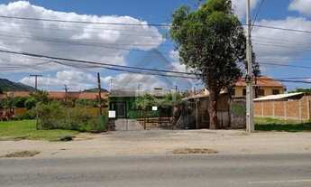 Imagem 3: Terreno em Hípica