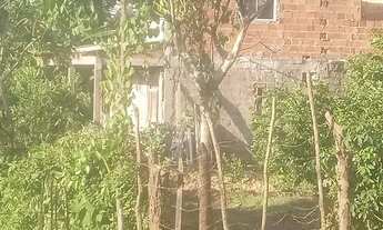 Imagem: Casa em ilha de maré (Botelho