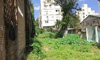 Imagem 2: Terreno para Venda - 0m², 0 dormitórios, Floresta