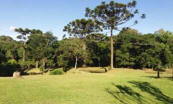 Imagem 7: Oportunidade para quem procura em campo alegre um lugar plano e com casas prontas para voc
