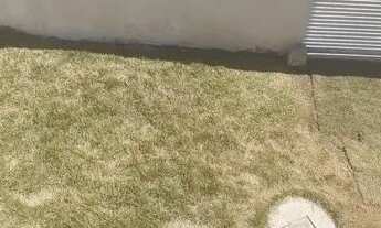 Imagem 6: SHA Conjunto 05 Sobrado Arniqueiras 4 Quartos 3 Suítes 3 Vagas 276m²